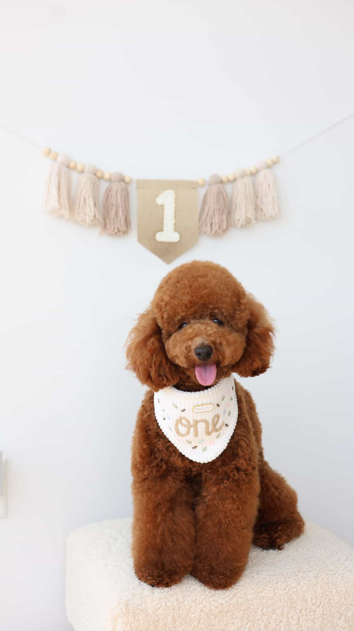 Birthday Bandana