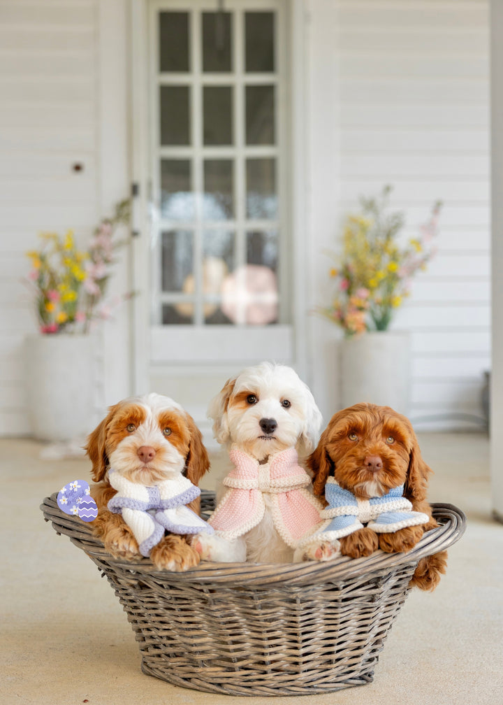 NEW: Spring Sailor Bows