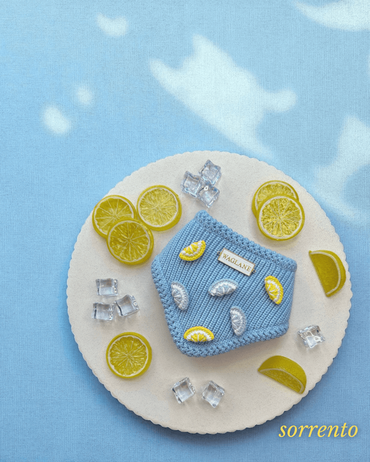 Aperol Summer Lemon Dog Bandana