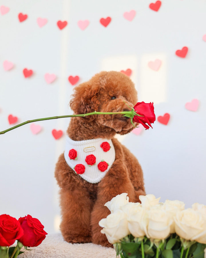 The Camille Bandana: Red