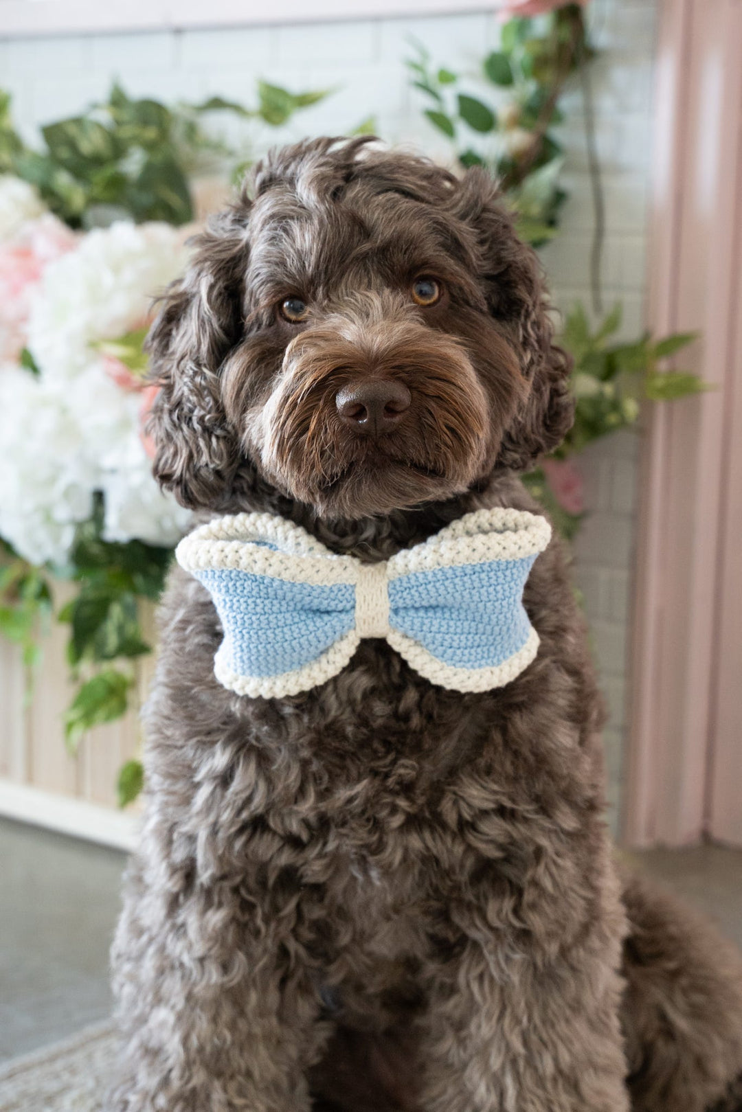 NEW: The Hareloom Bow Tie