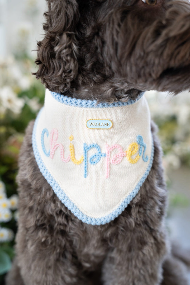 Custom Hand-Embroidered Pastel Bandana