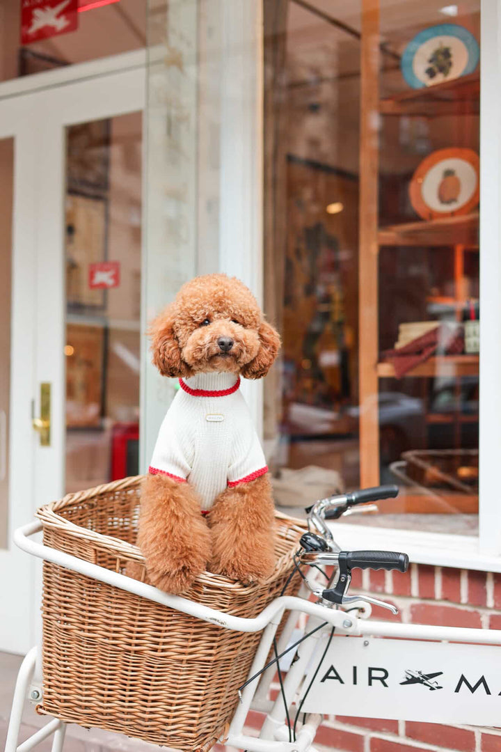 The Valentino Sweater