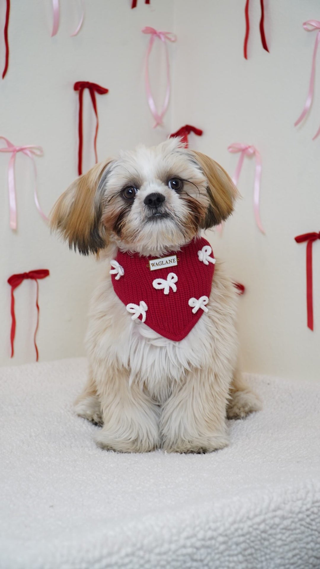 Red Bow Dog Bandana - Waglane