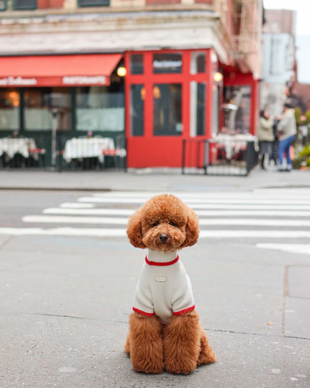 The Valentino Sweater