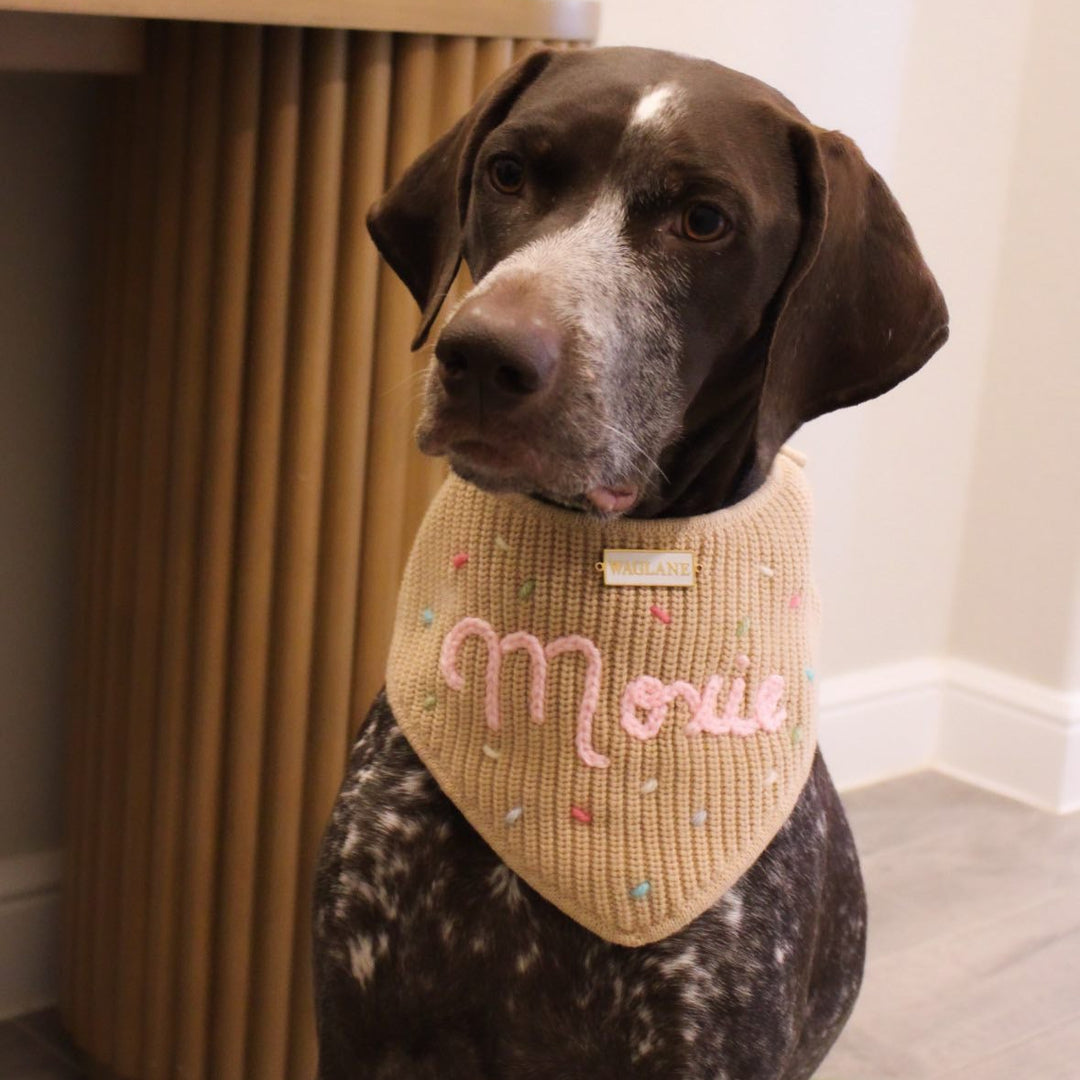 Custom Name Sprinkles Confetti Birthday Bandana – Waglane