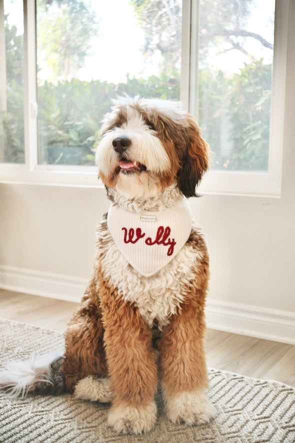 Custom Yarn Embroidered Dog Bandana - Waglane