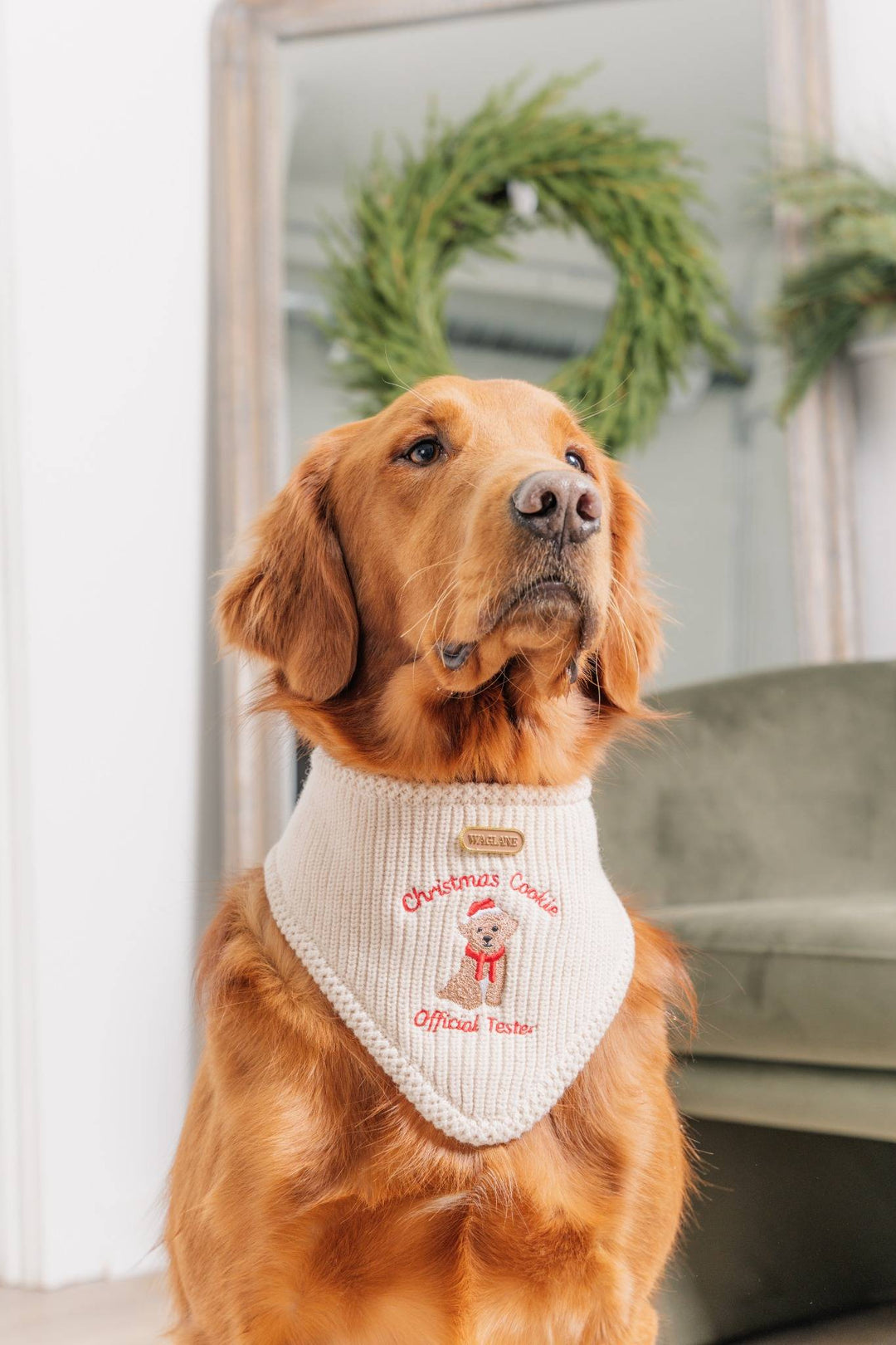 The Christmas Cookie Tester