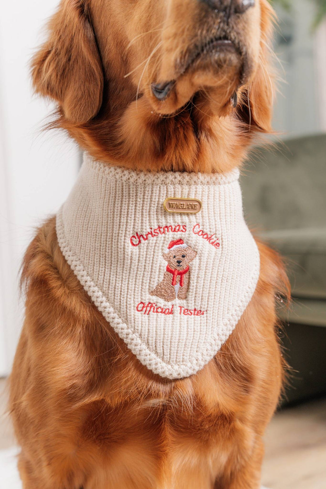 The Christmas Cookie Tester