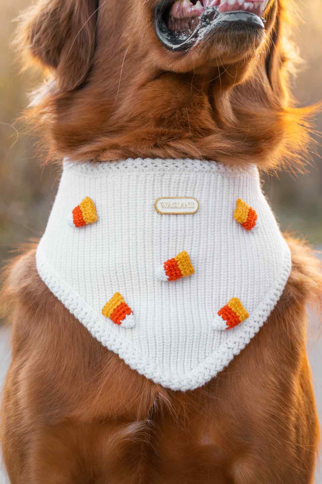 NEW Candy Corn Bandana