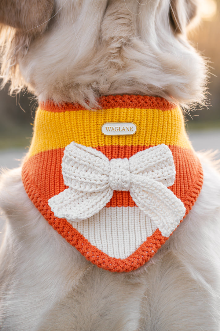 NEW Cornelia | Candy Corn Halloween Bandana