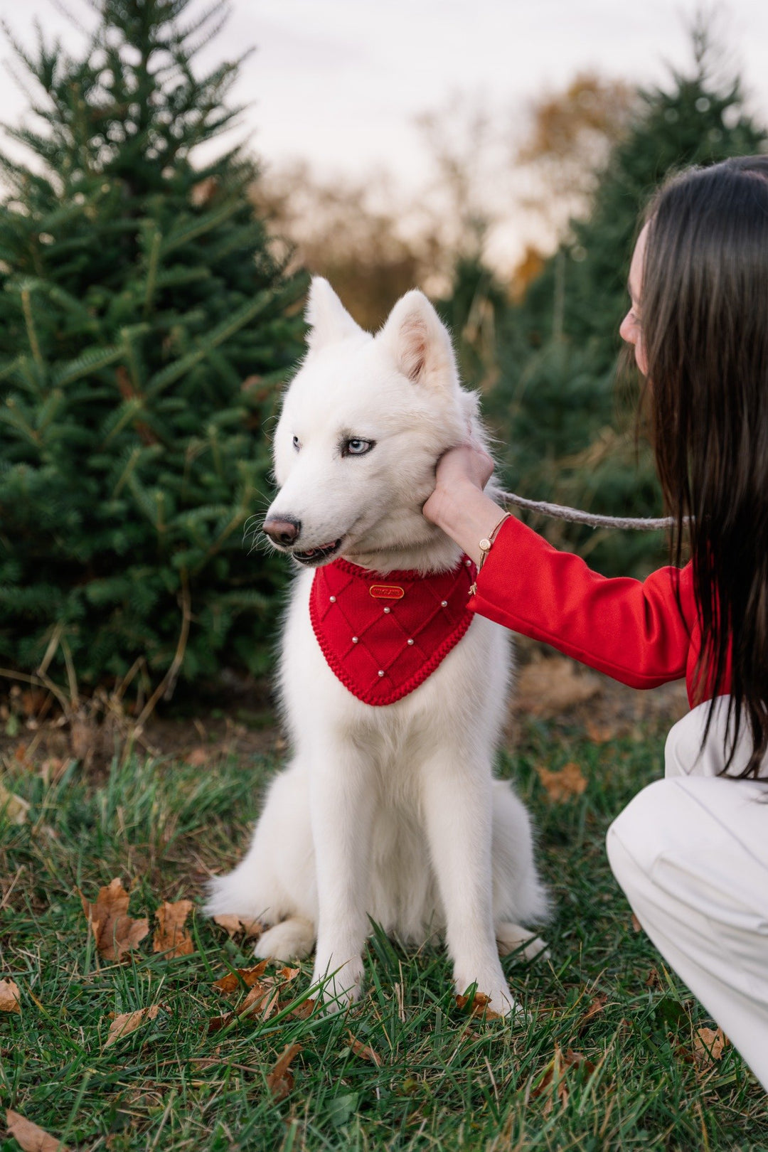 The Classic - Cranberry