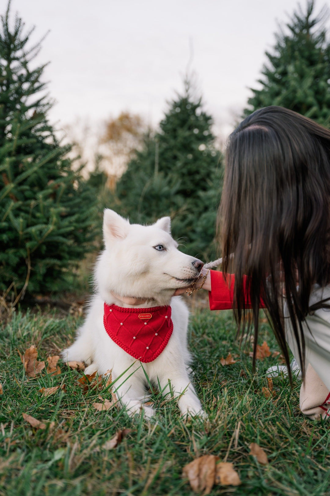 The Classic - Cranberry