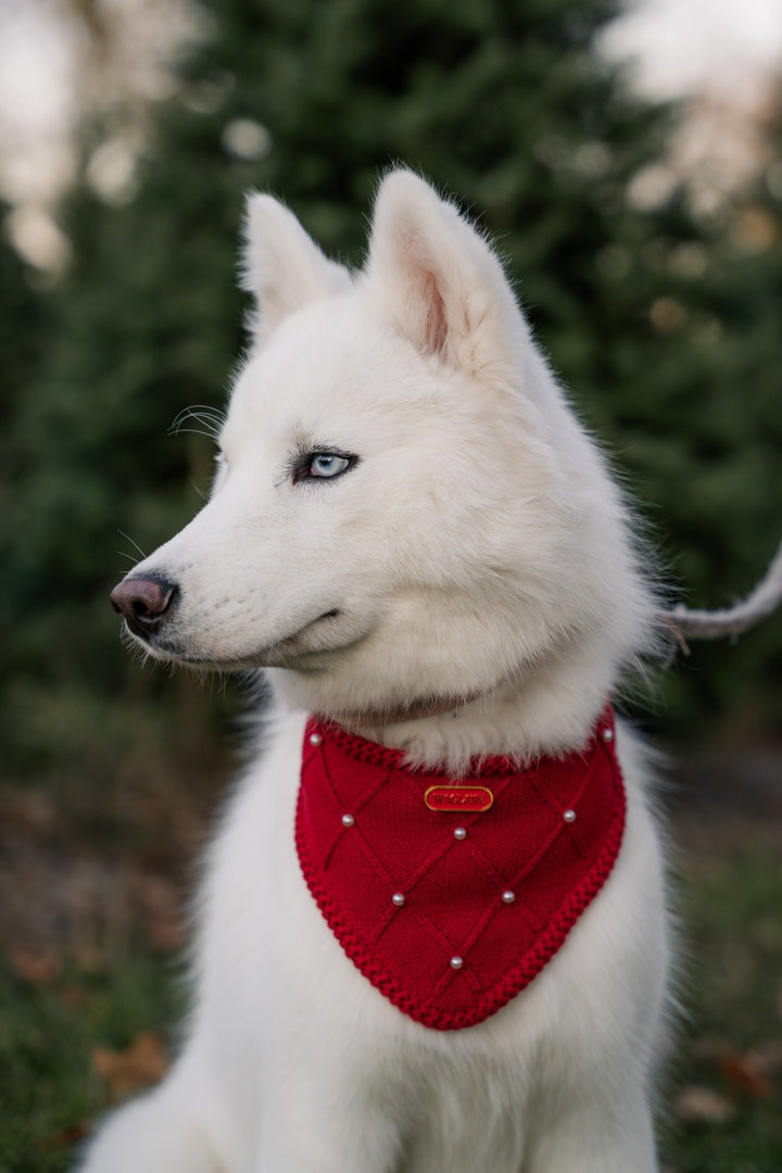 The Classic - Cranberry