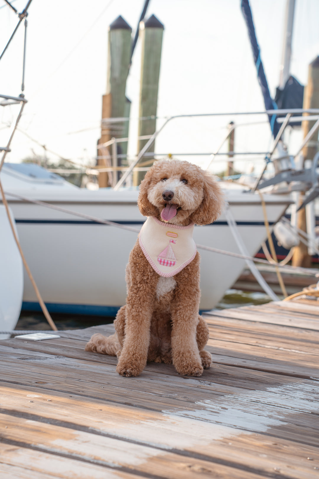 The Harbor Bandana (Pink)