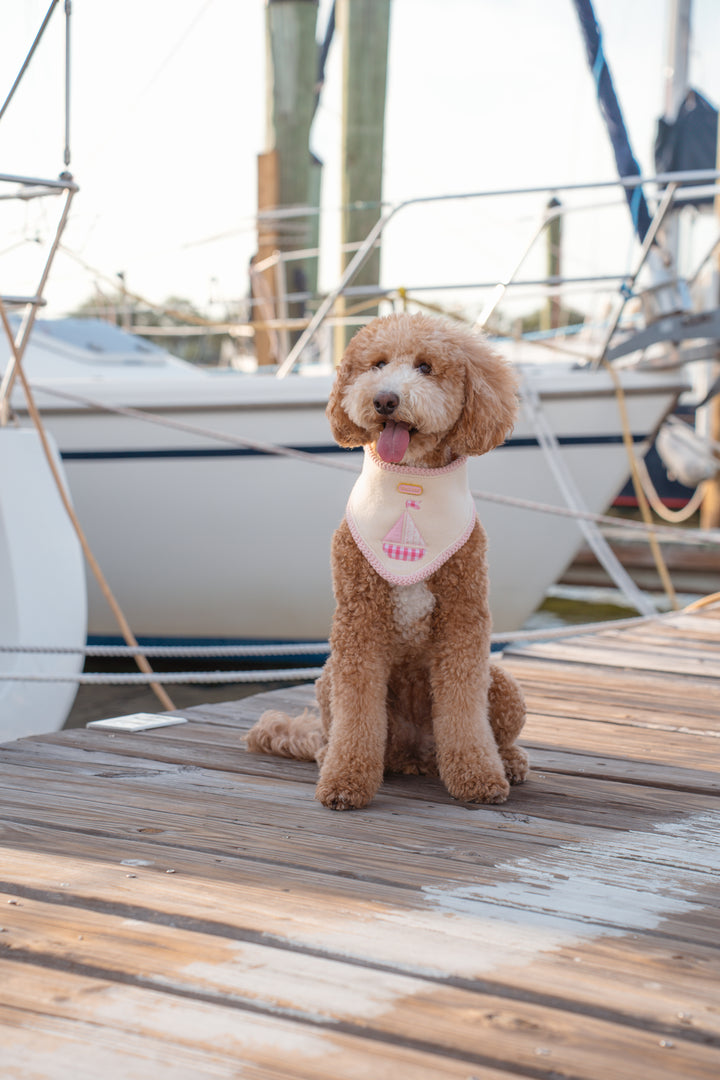 The Harbor Bandana (Pink)