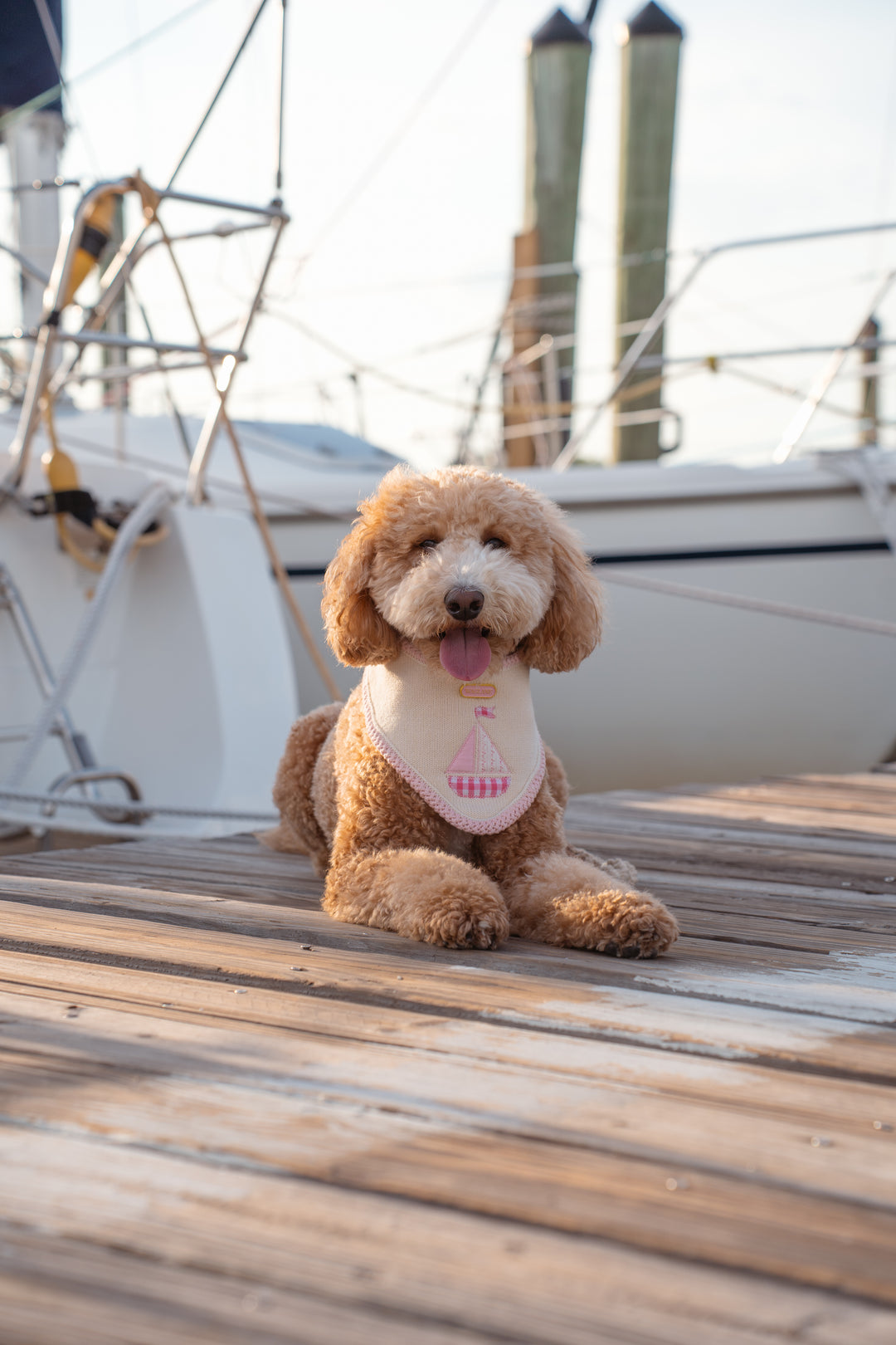 The Harbor Bandana (Pink)