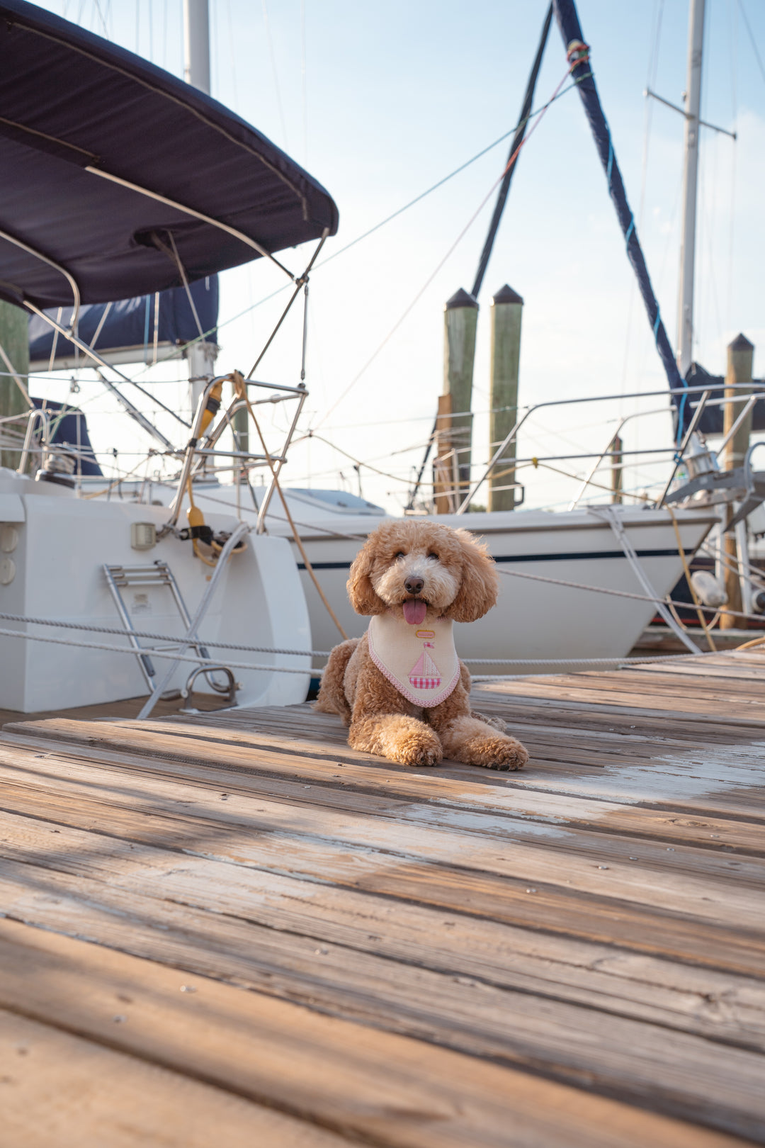 The Harbor Bandana (Pink)