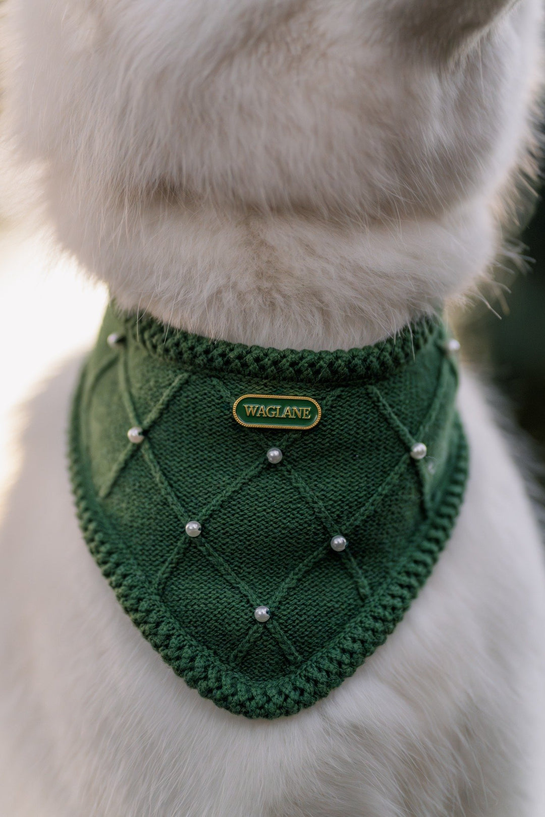 The Classic - Evergreen