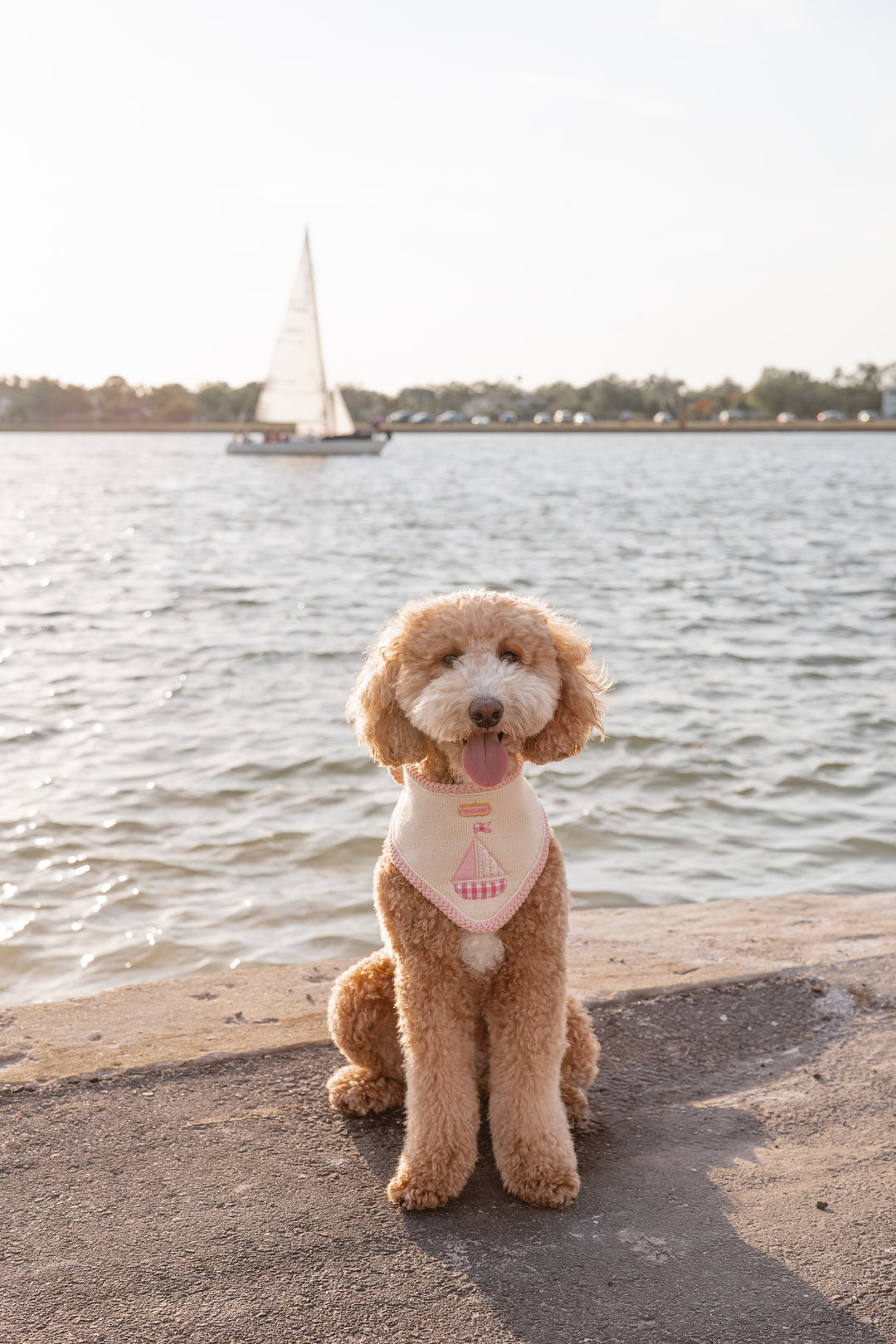 The Harbor Bandana (Pink)
