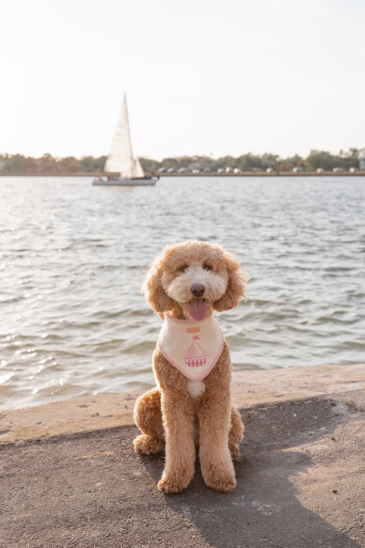 The Harbor Bandana (Pink)