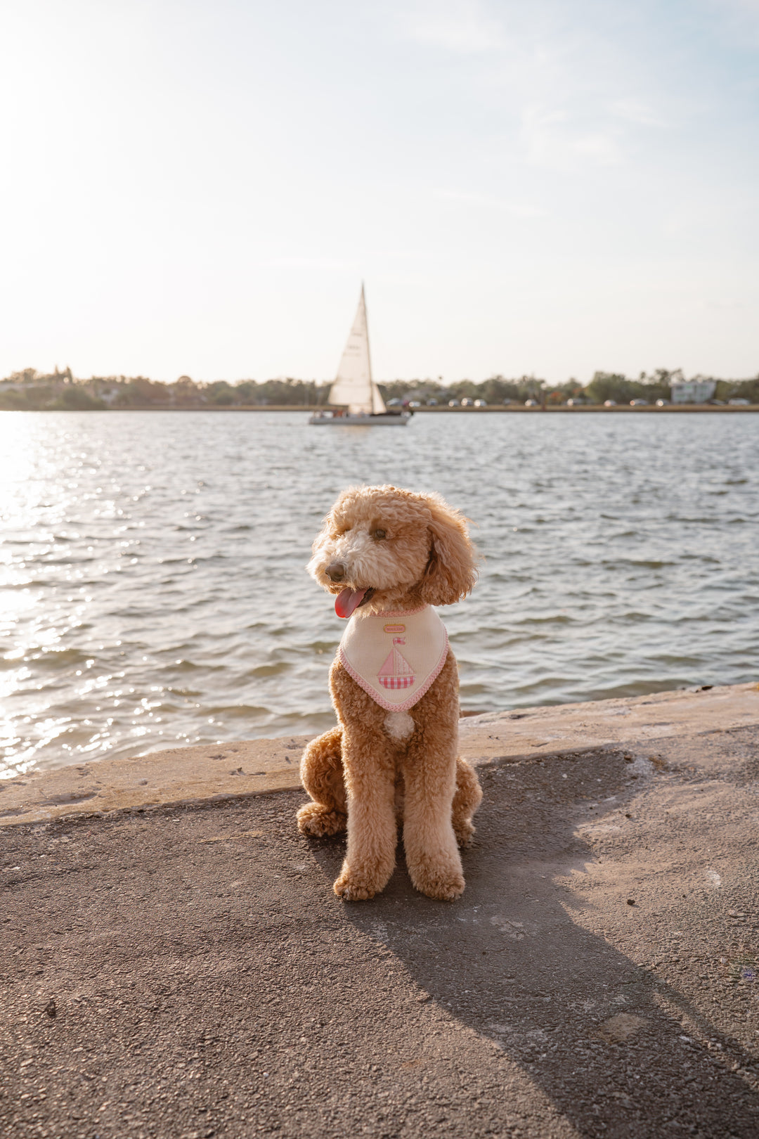 The Harbor Bandana (Pink)