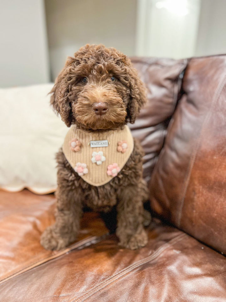 Apricot Flower Applique Dog Bandana - Waglane