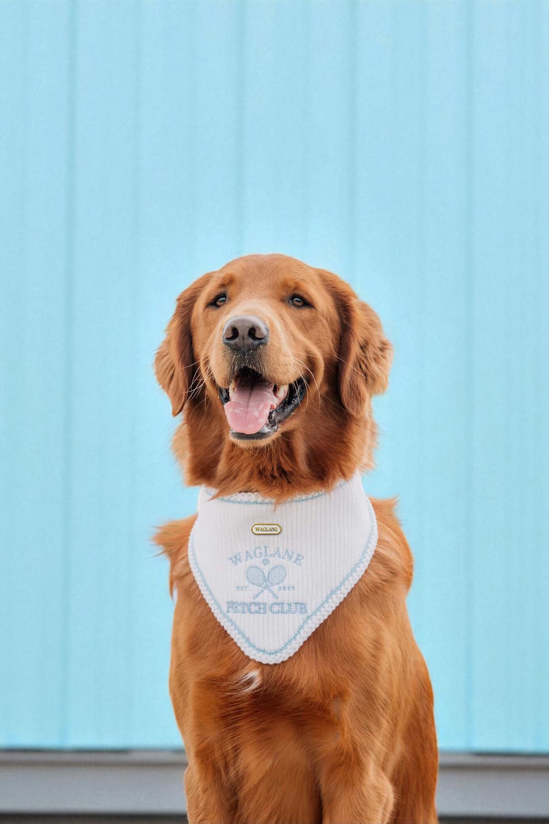 Fetch Club | Do good for dogkind
