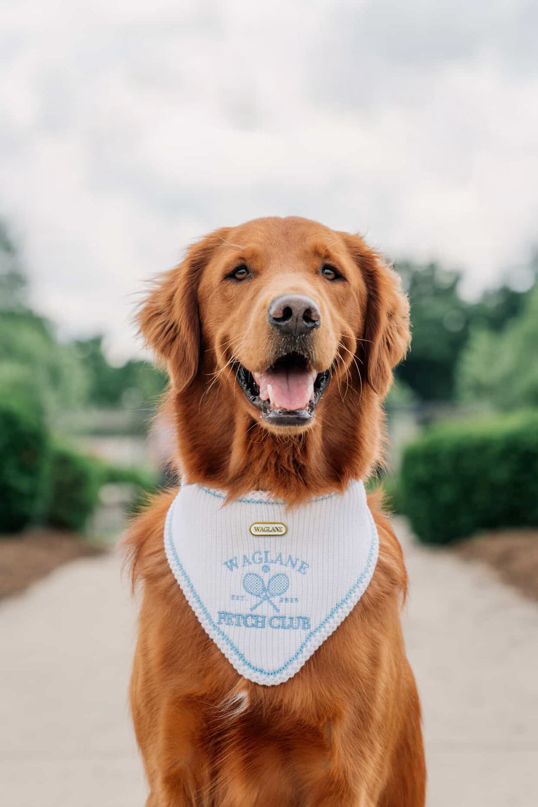 Fetch Club | Do good for dogkind