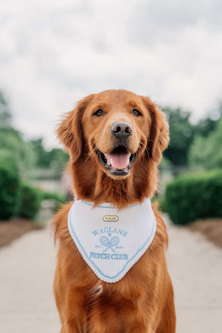 Fetch Club | Do good for dogkind