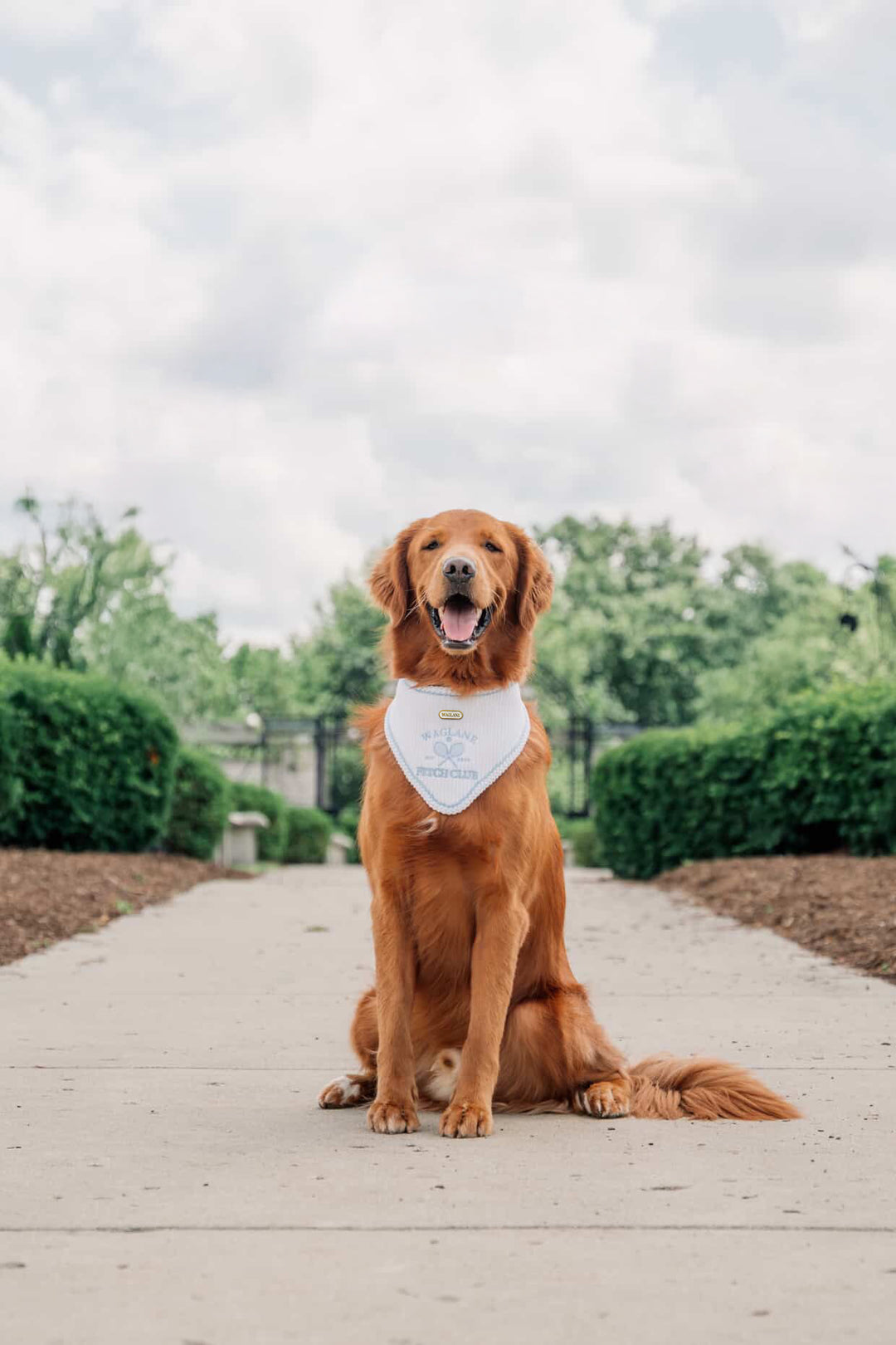 Fetch Club | Do good for dogkind
