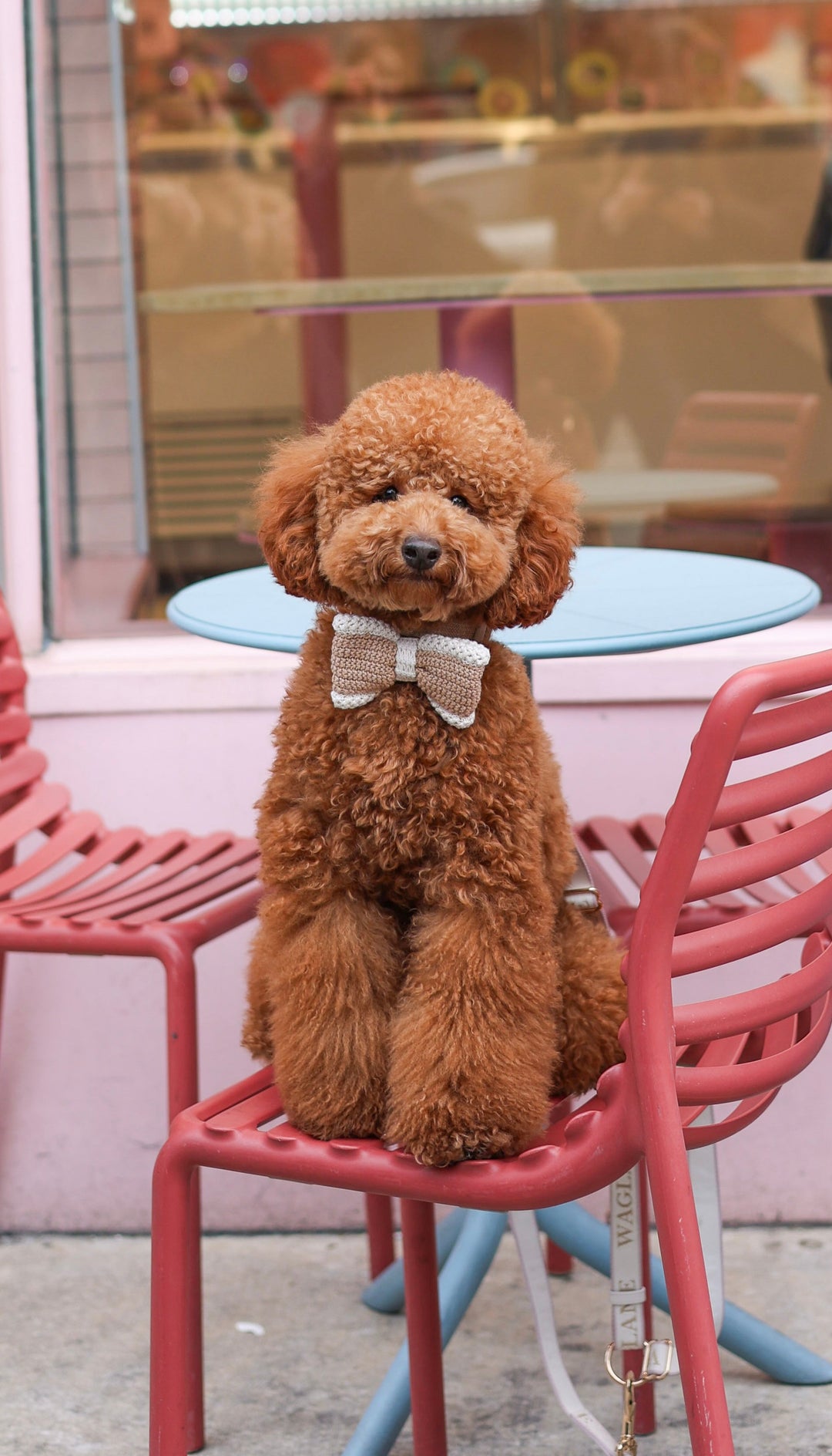 The Calvin: Neutral Bow Tie