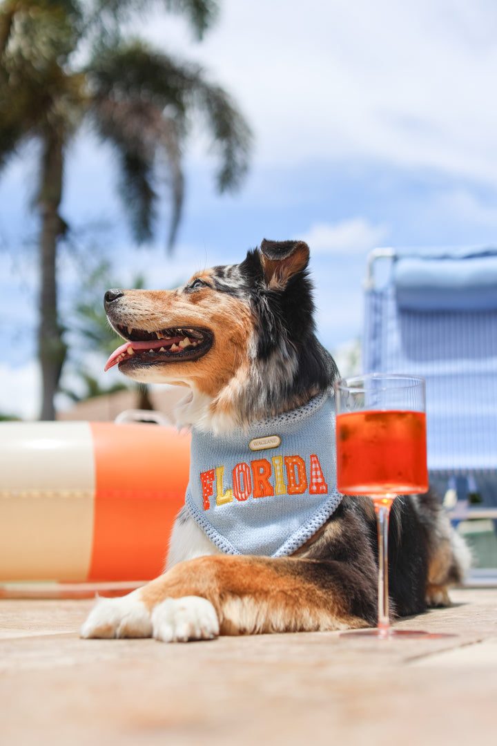 On Vacation Time