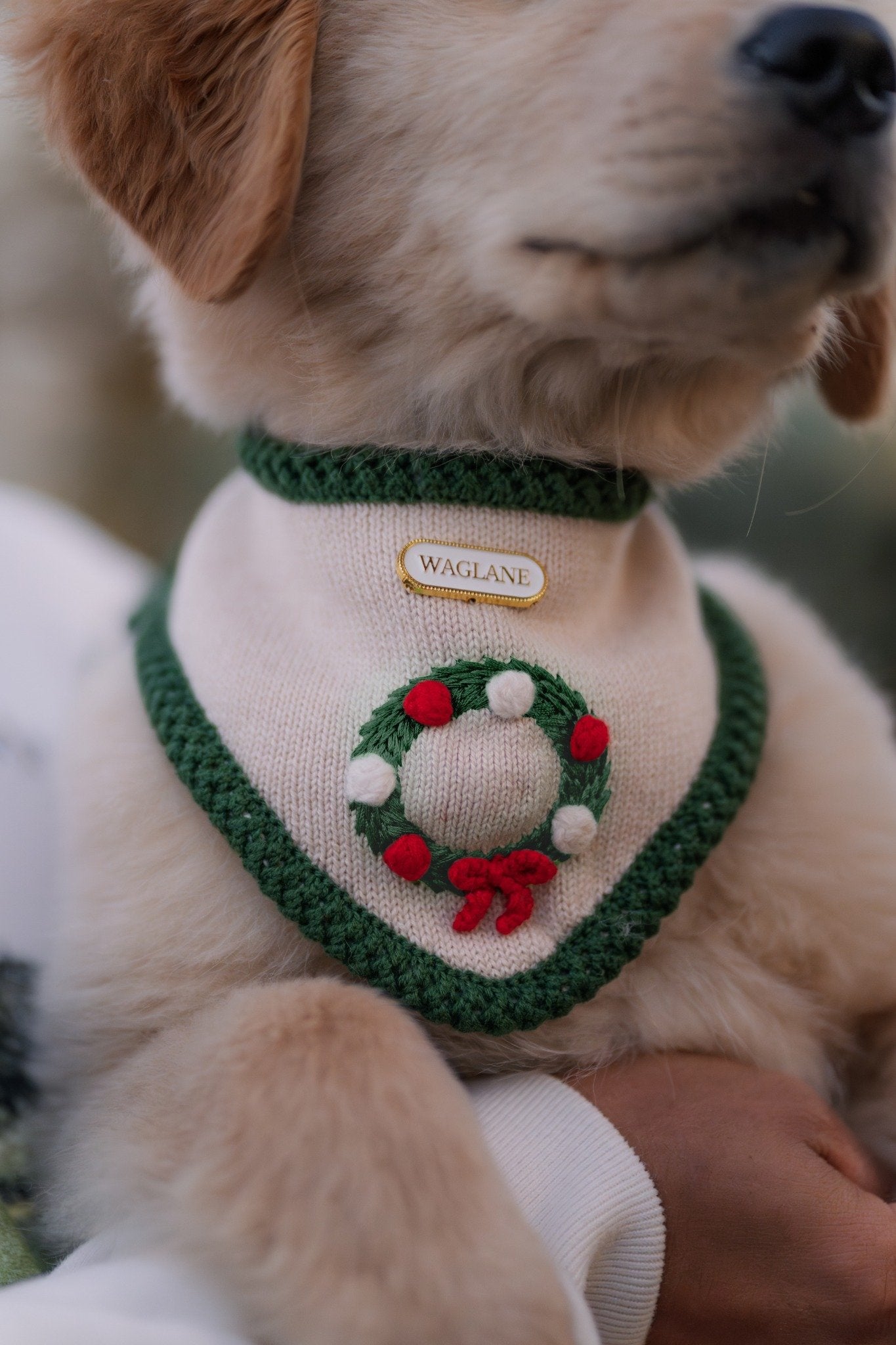 A Very WAGLANE Christmas