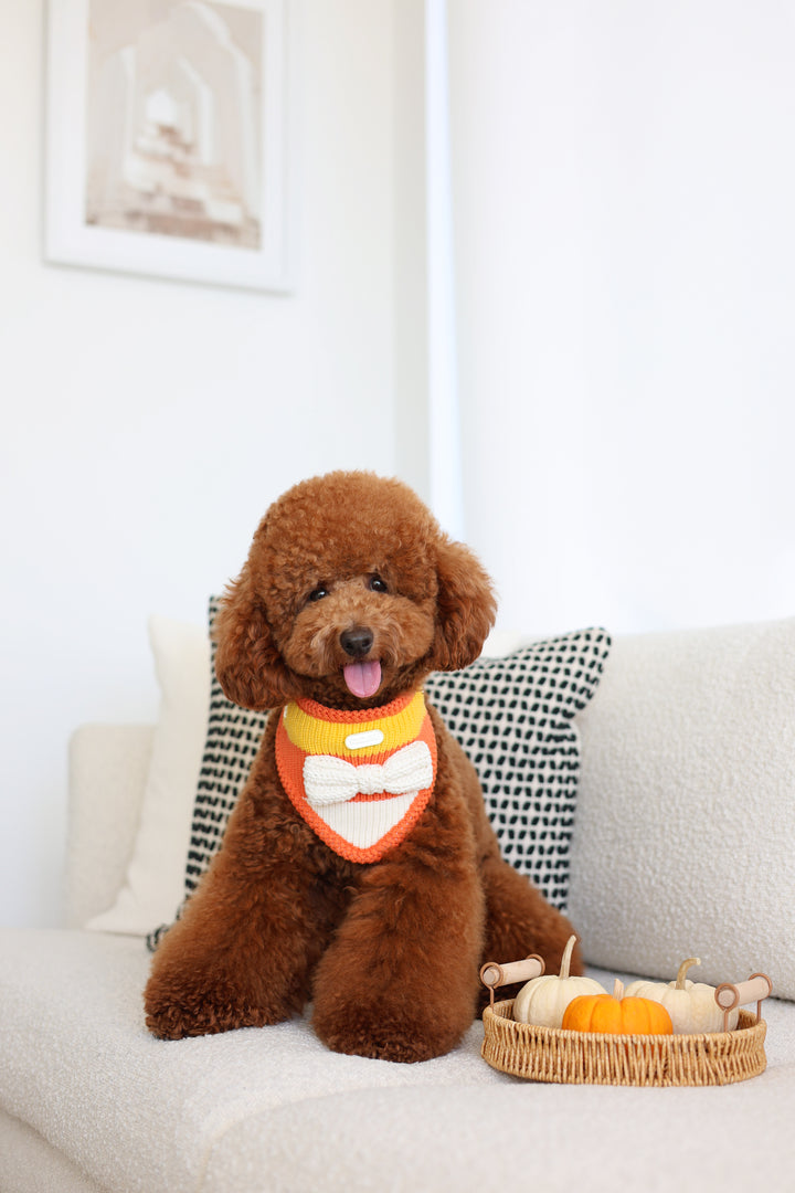 NEW Cornelia | Candy Corn Halloween Bandana
