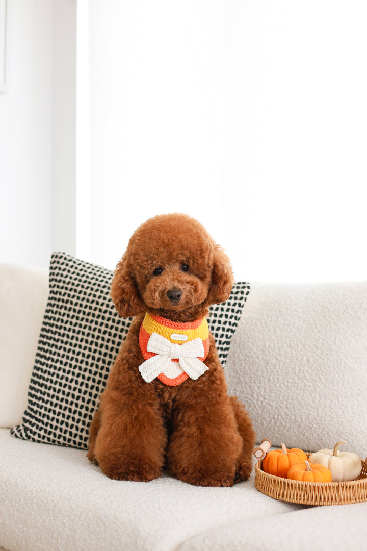 NEW Cornelia | Candy Corn Halloween Bandana