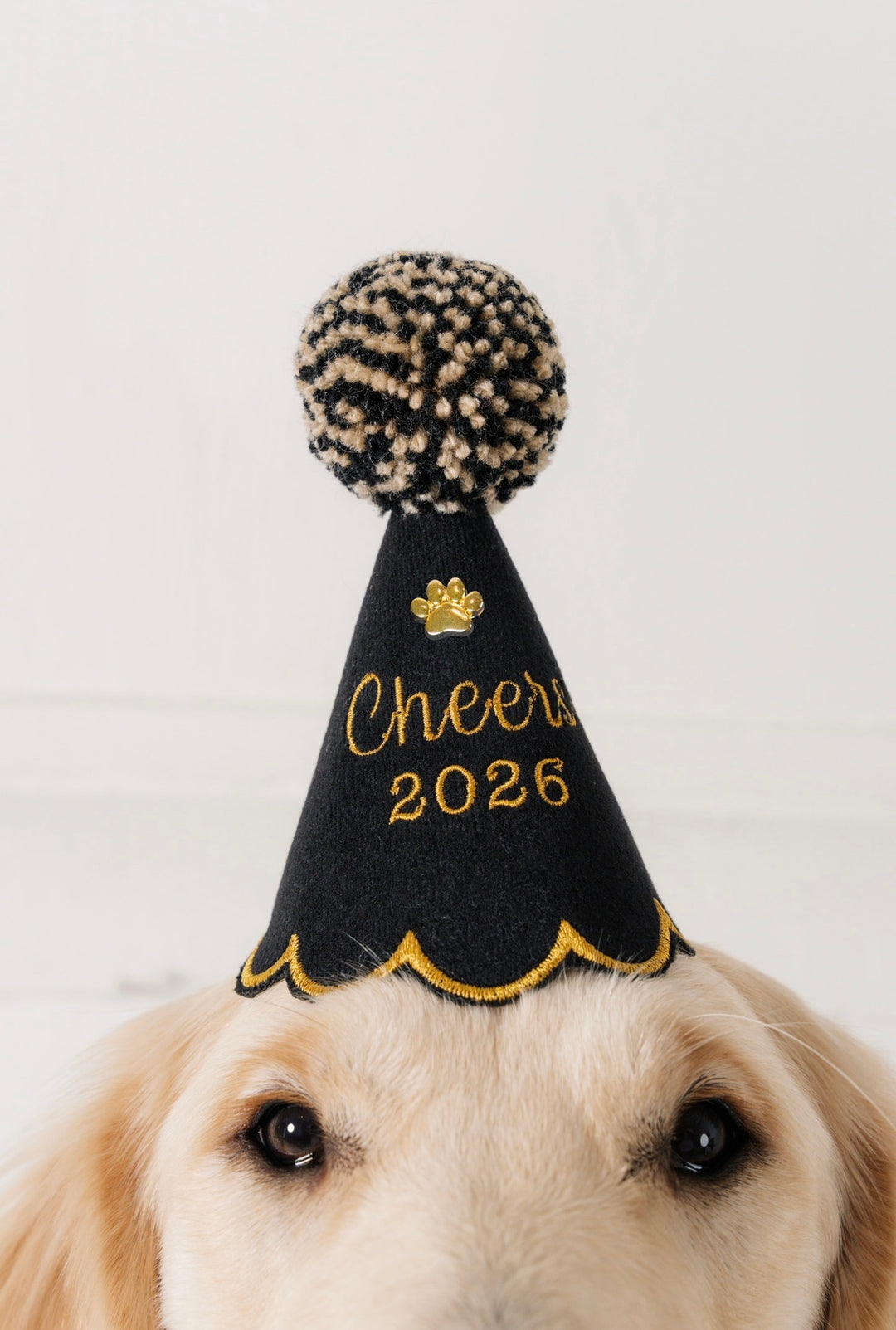 Cheers 2026 Celebration Hat