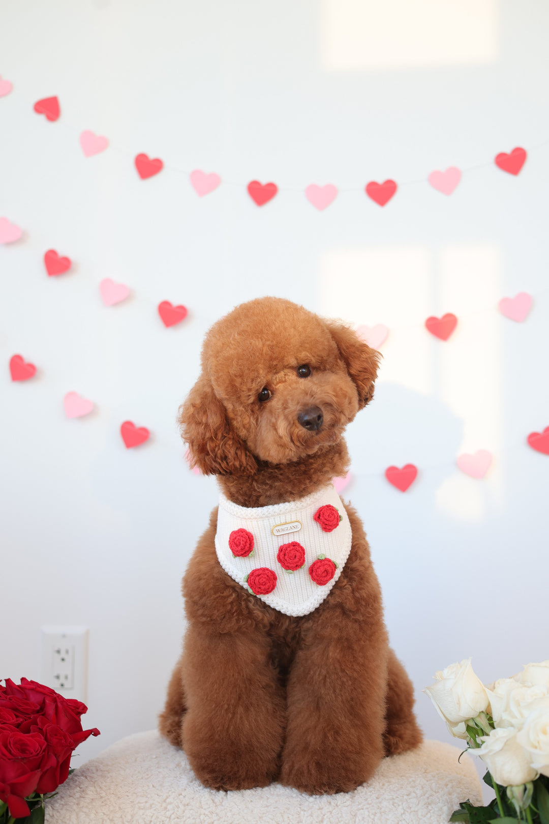 The Camille Bandana: Red