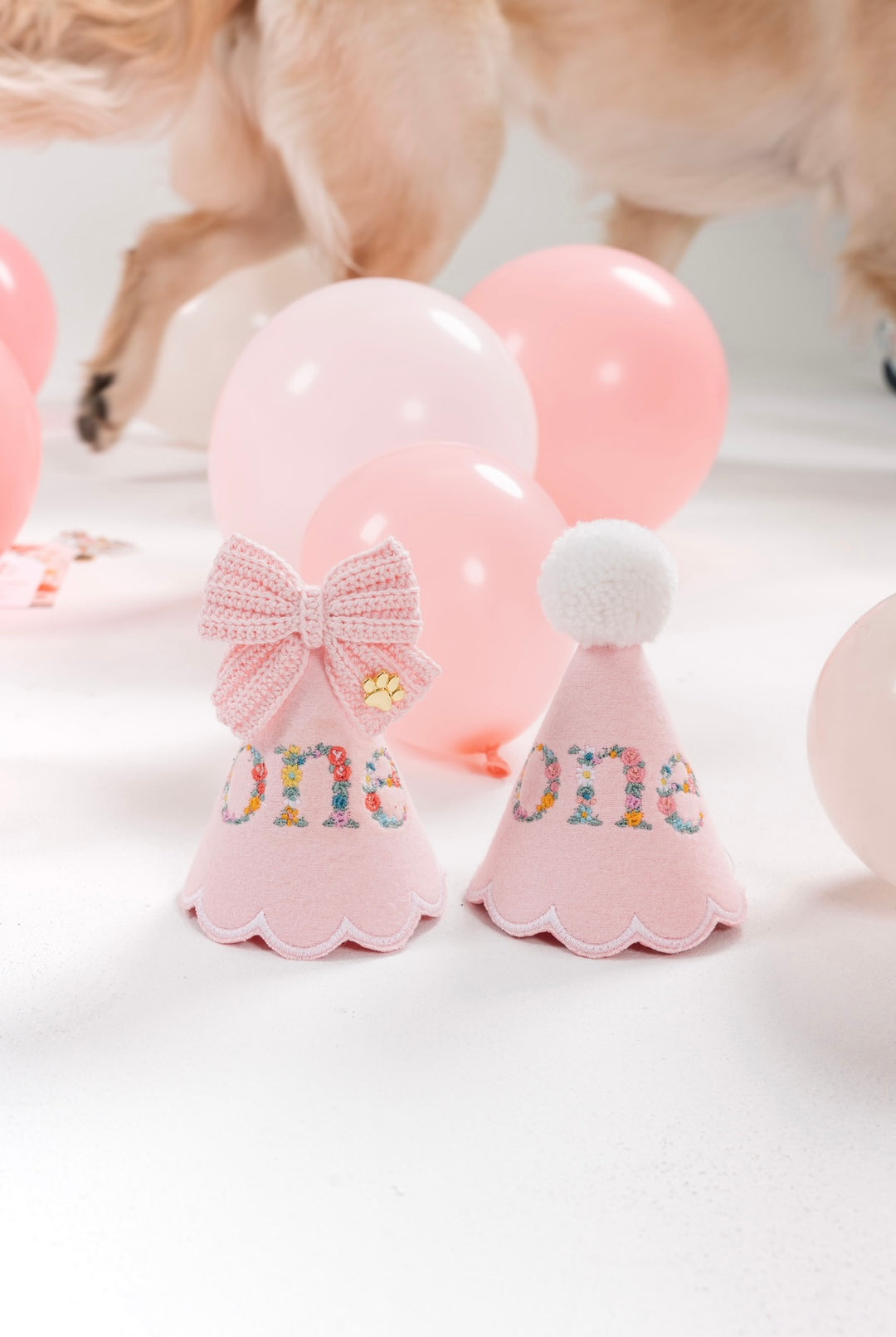 Fully Customized Party Hat