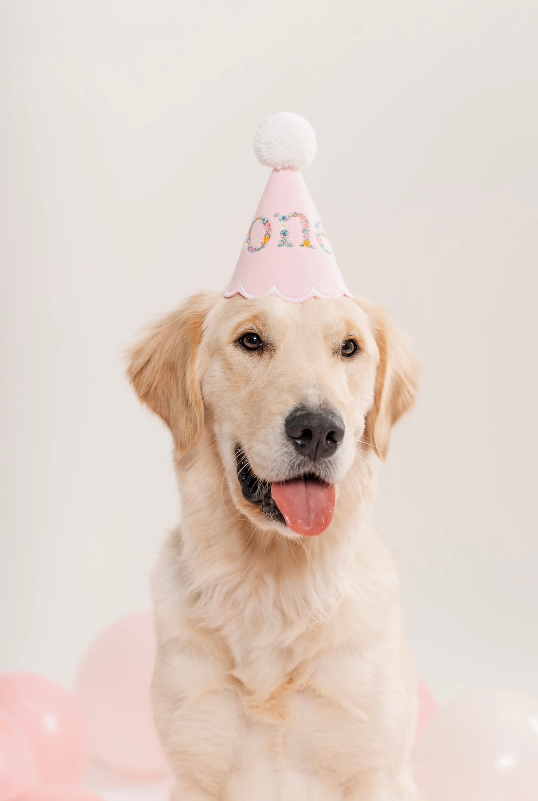Fully Customized Party Hat