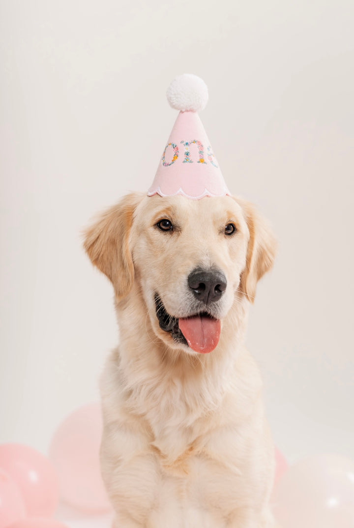 Fully Customized Party Hat