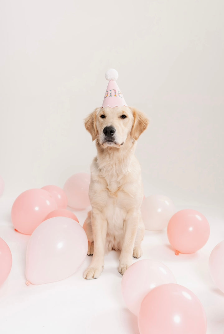 Fully Customized Party Hat