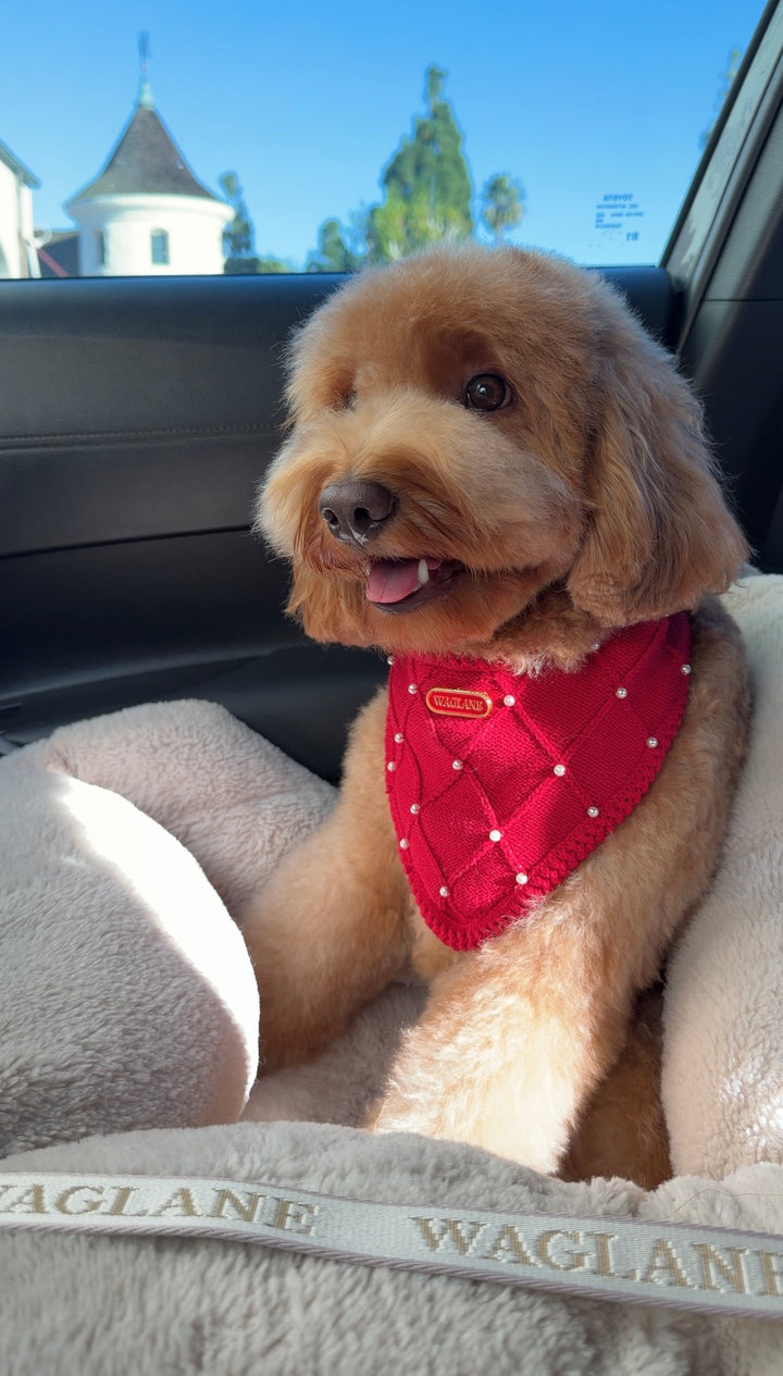 [Lightweight] Red Pearl Bandana