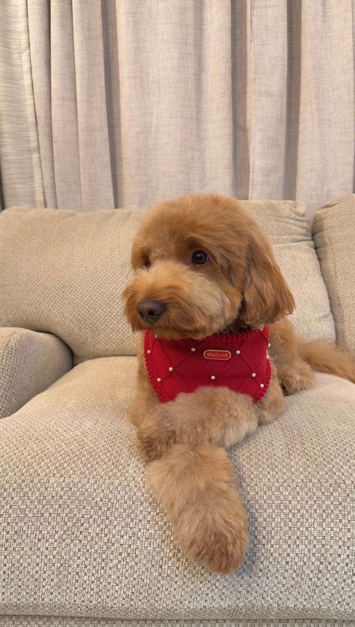 [Lightweight] Red Pearl Bandana