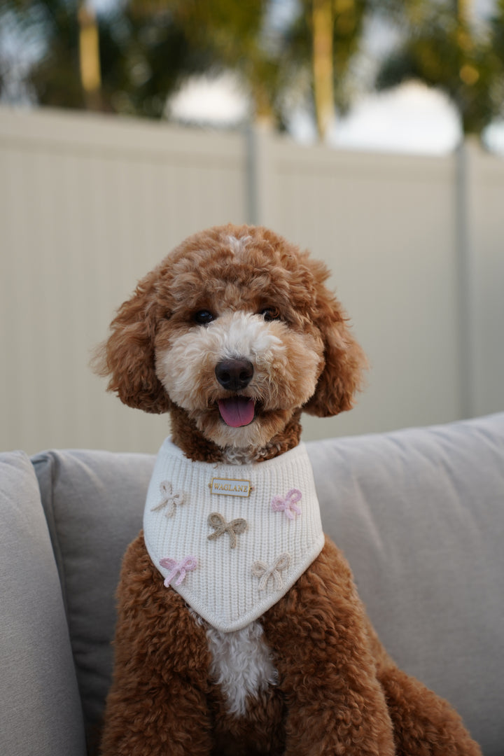 Pastel Coquette Bow Bandana