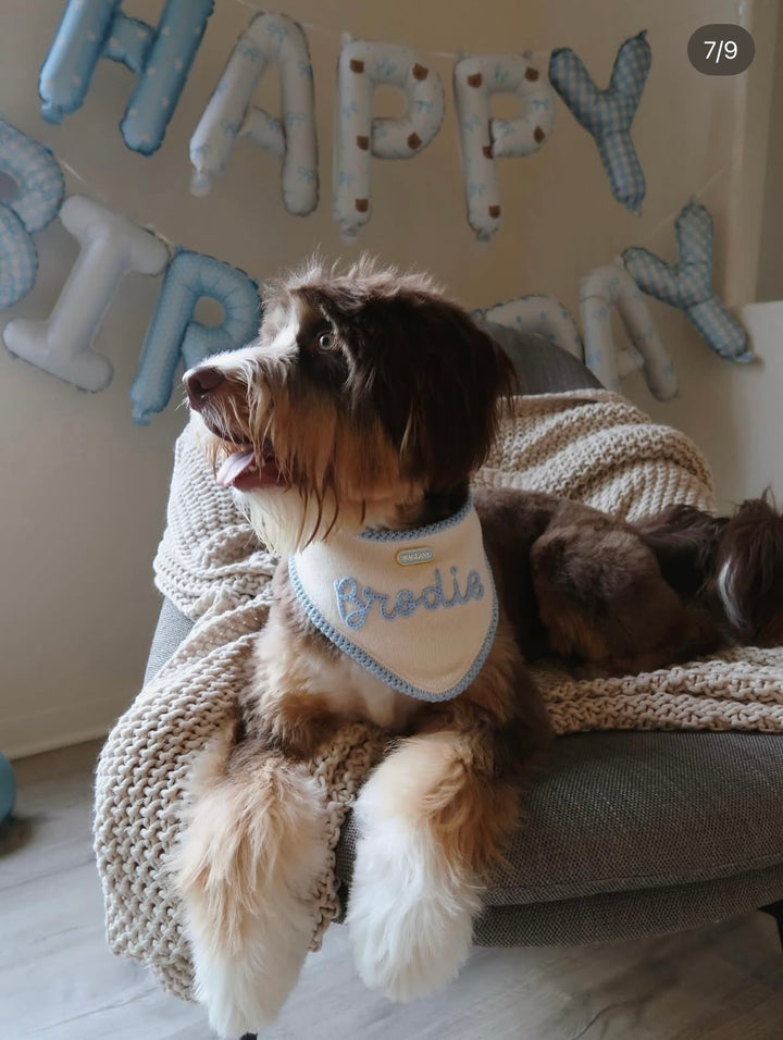 Custom Hand-Embroidered Pastel Bandana