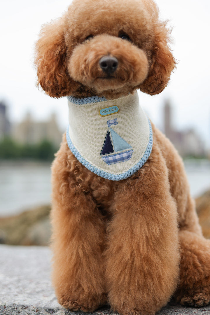 The Harbor Bandana (Blue)