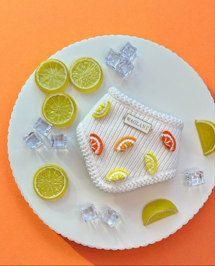 White dog bandana with lemon designs on a white plate with lemons and ice cubes against an orange background