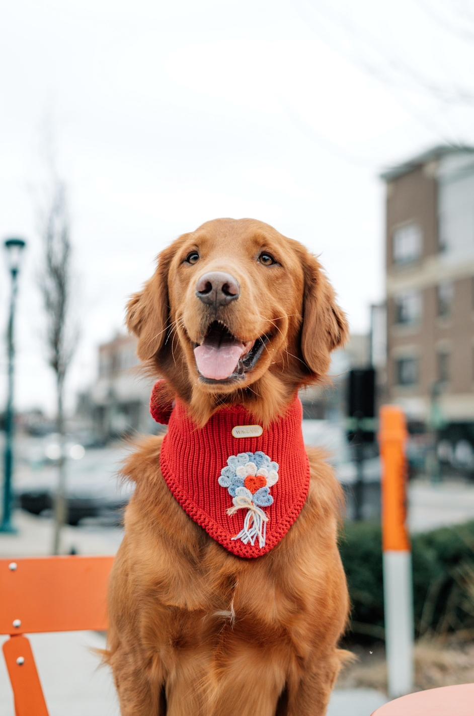 The Everly Bandana: Blue Balloon Bouquet