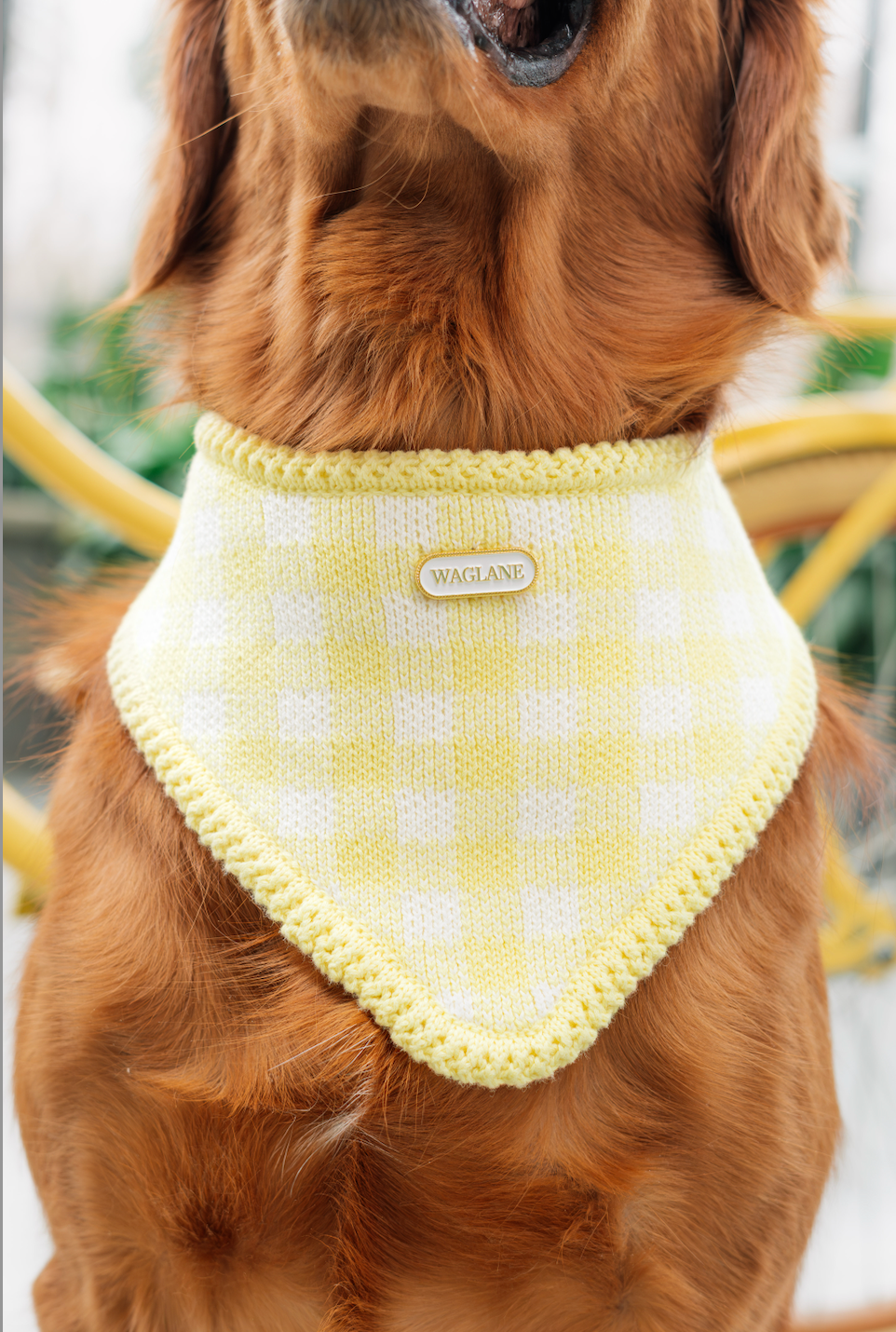 Butter 🧈 Gingham